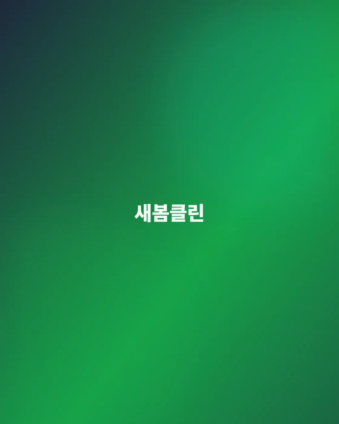 서울 이사청소 전문